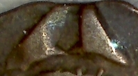 The-Letter-�a�-In-Mid-Medieval-European-Coinage-9th-To-12th-Century