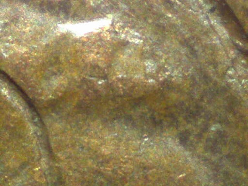 1981-D-LMC-Struck-Through-Or-PMD?