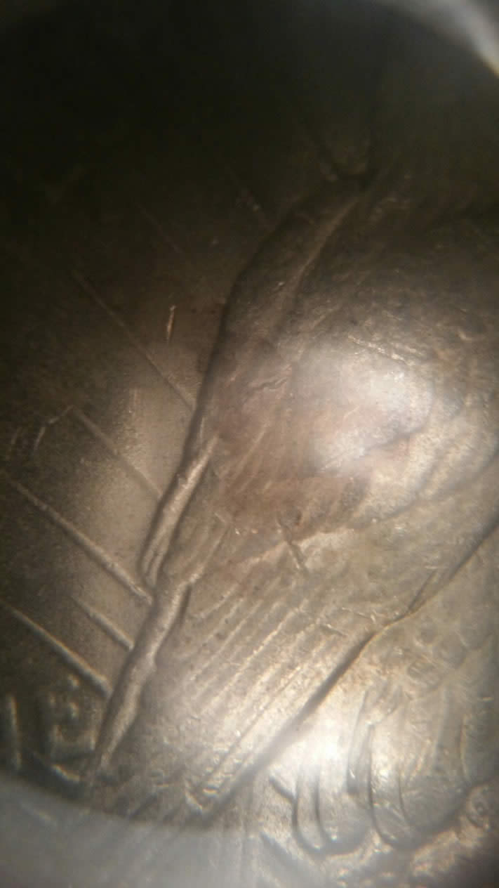'22-P-Peace-Dollar;-2e2-Wing-Break?