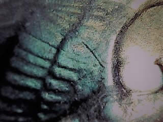 1971-D-Washington-Quarter