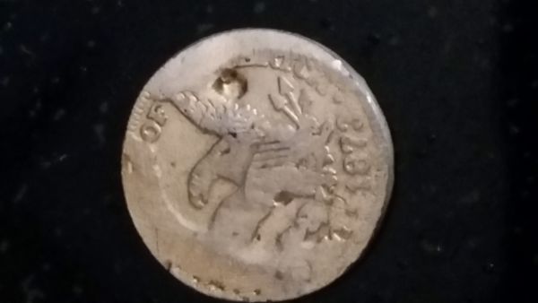 Newbie-Needs-Help