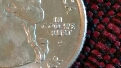State-Quarters-No-Cud