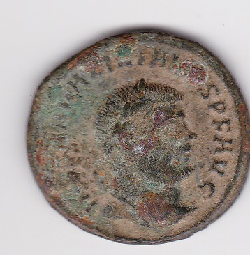Help-With-Identification-Please---2