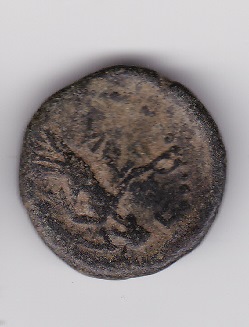 Help-With-Identification-Please---2