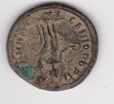 Help-With-Identification-Please---2