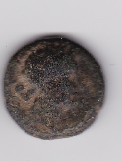 Help-With-Identification-Please---2