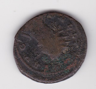 Help-With-Identification-Please---3