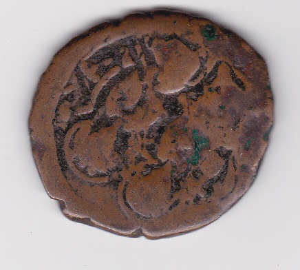 Help-With-Identification-Please---3