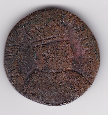 Help-With-Identification-Please---5
