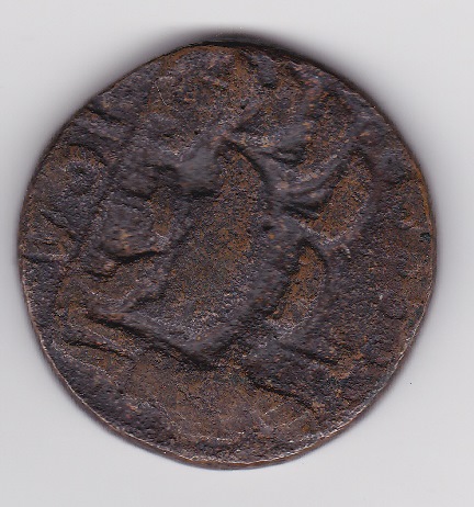 Help-With-Identification-Please---5