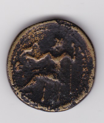 Help-With-Identification-Please