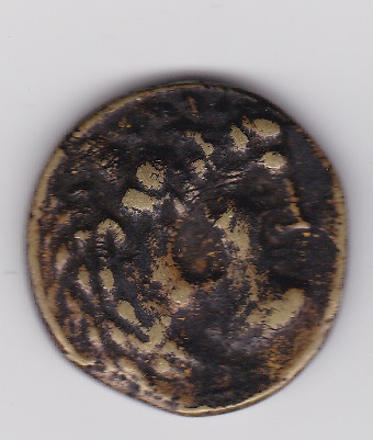 Help-With-Identification-Please