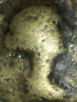 Guess-The-Emperor,-Caesar,-Or-Empress