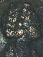 Guess-The-Emperor,-Caesar,-Or-Empress