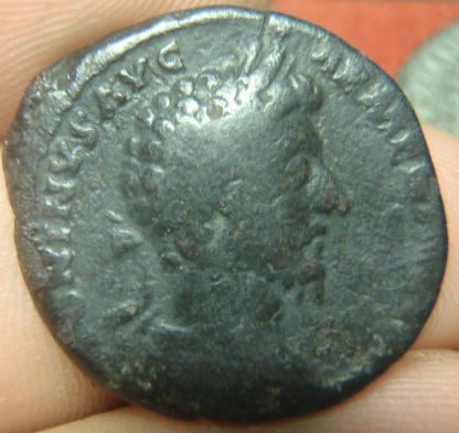 Guess-The-Emperor,-Caesar,-Or-Empress