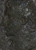Guess-The-Emperor-Revisted