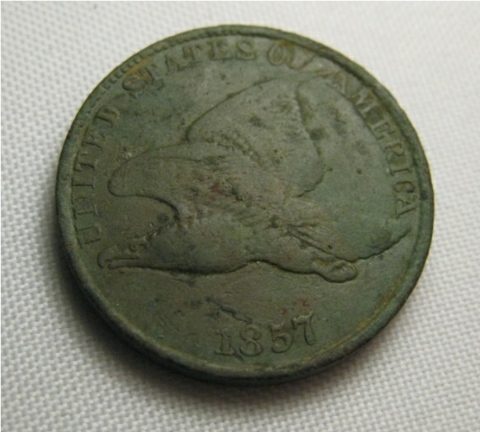 My-First-Flying-Eagle-And-Its-Dug.
