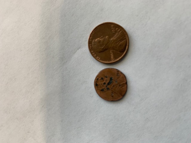 Small-Penny-With-No-Rim,-2017-Maybe?