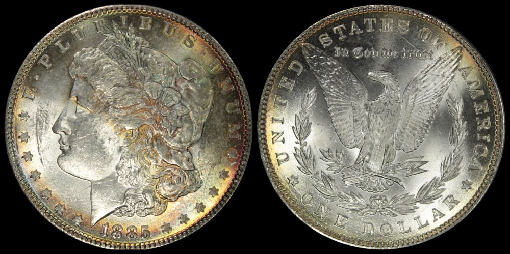Opinions-On-This-Trio-Of-1885-Toned-Morgans?