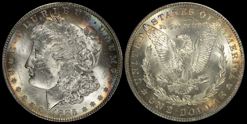 Opinions-On-This-Trio-Of-1885-Toned-Morgans?