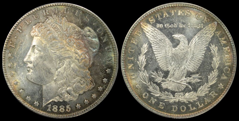 Opinions-On-This-Trio-Of-1885-Toned-Morgans?