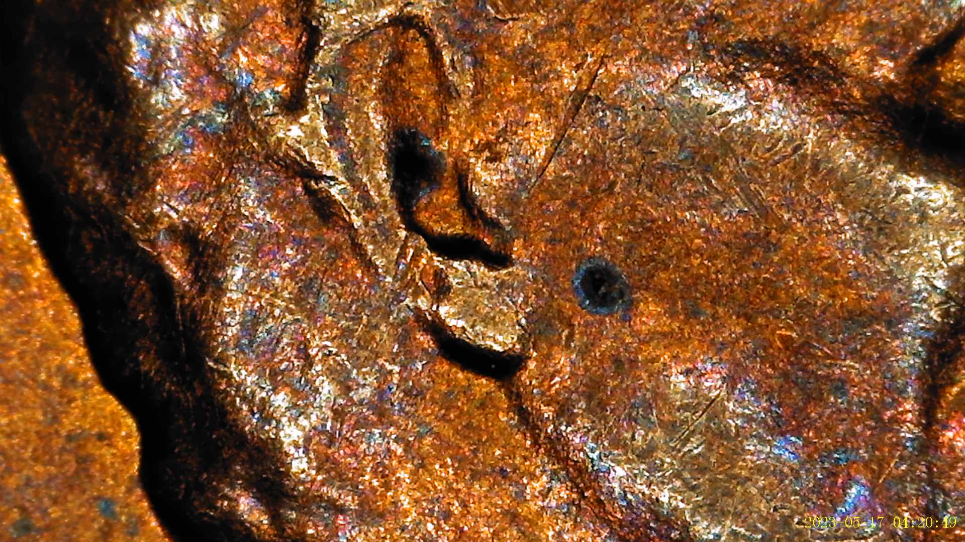 1958-Penny-Showing-Gouge-Thur-Ear-On-Front