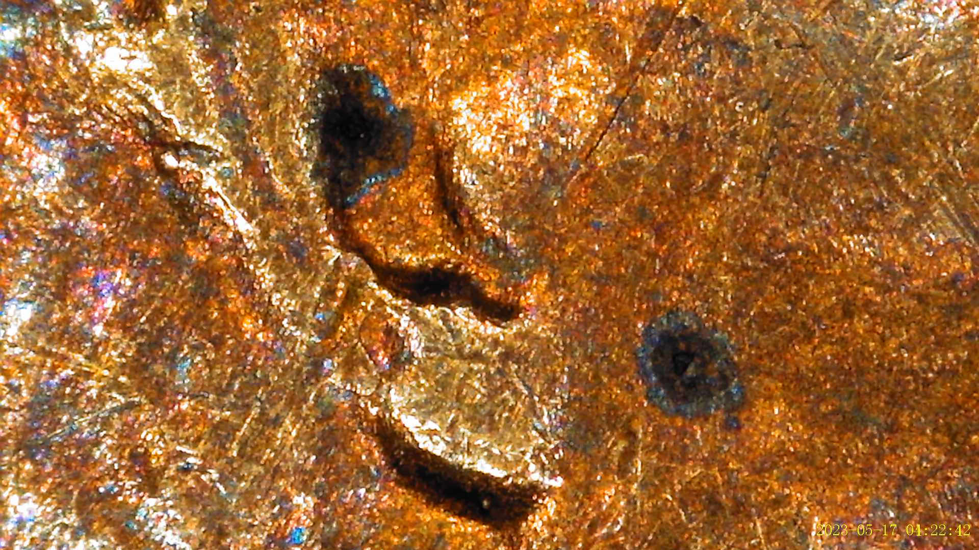 1958-Penny-Showing-Gouge-Thur-Ear-On-Front