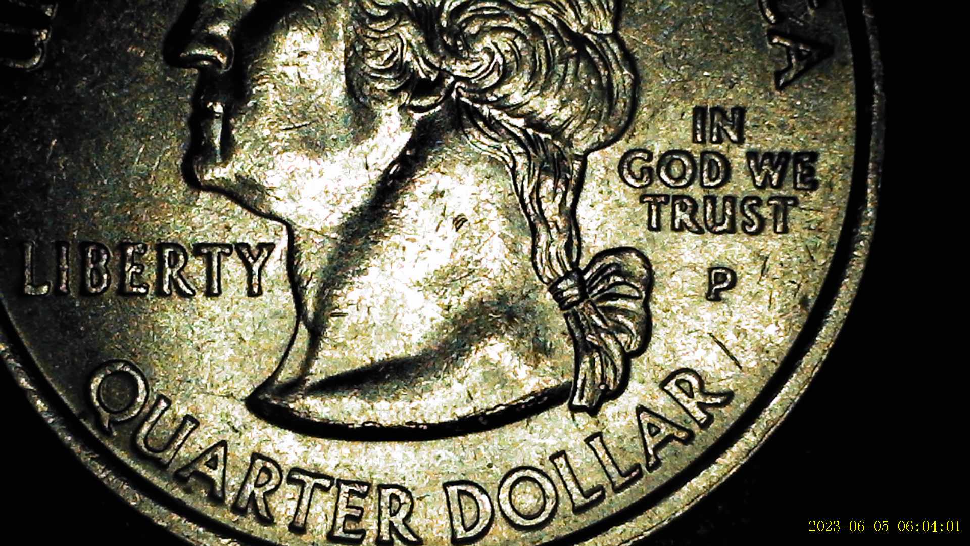 2008-Alaska-State-Quarter-Claw-Full-Die-Chips