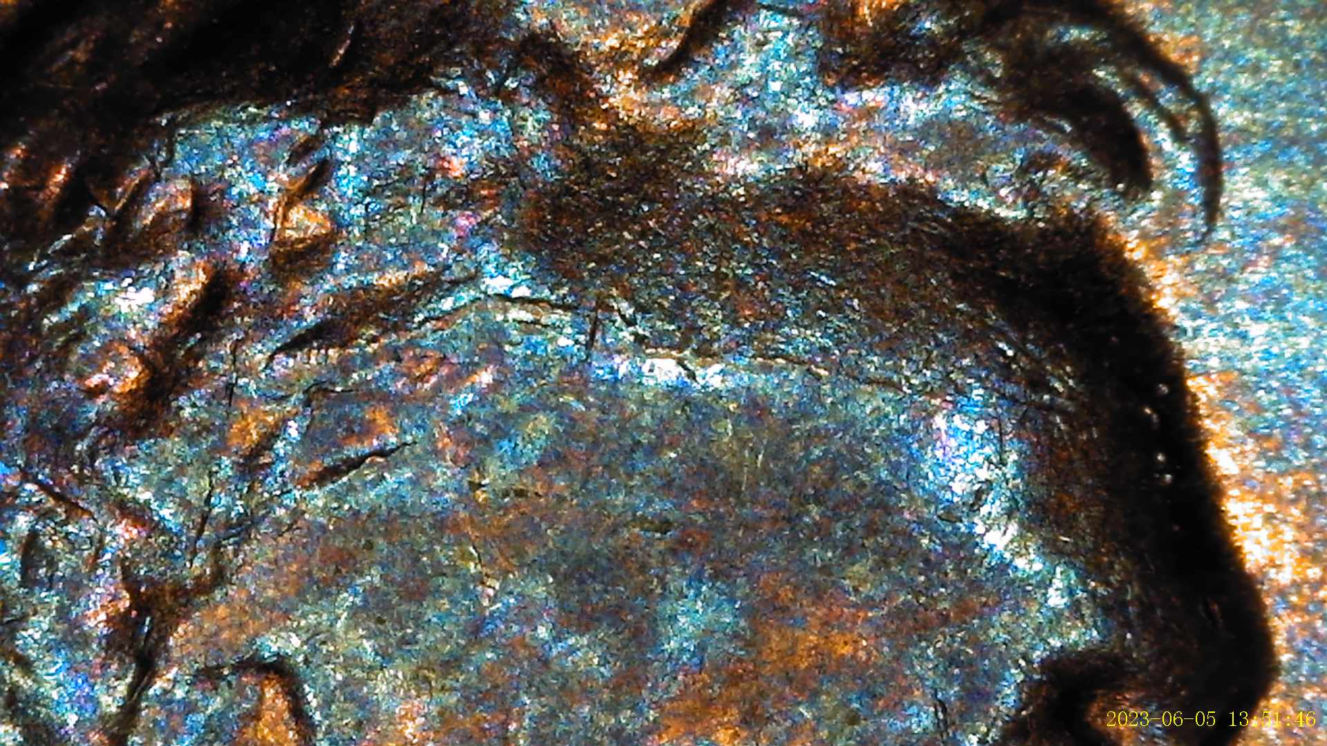 1955-Lincoln-Penny-Appearing-To-Have-Extra-Material-By-Ear-Lobe
