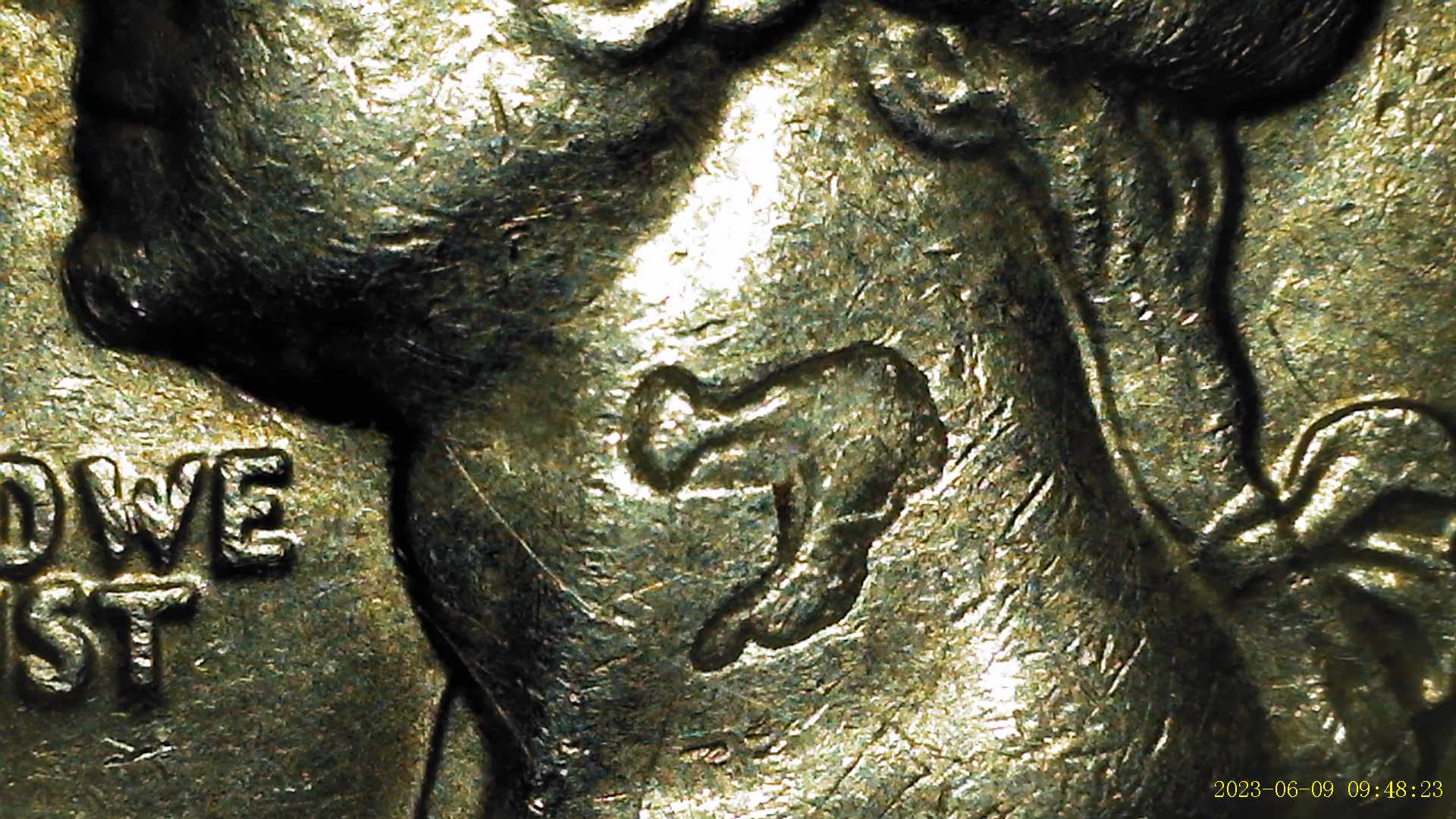 1976-Bicentennial-Quarter-Obverse-Unusual-Neck-Appearance