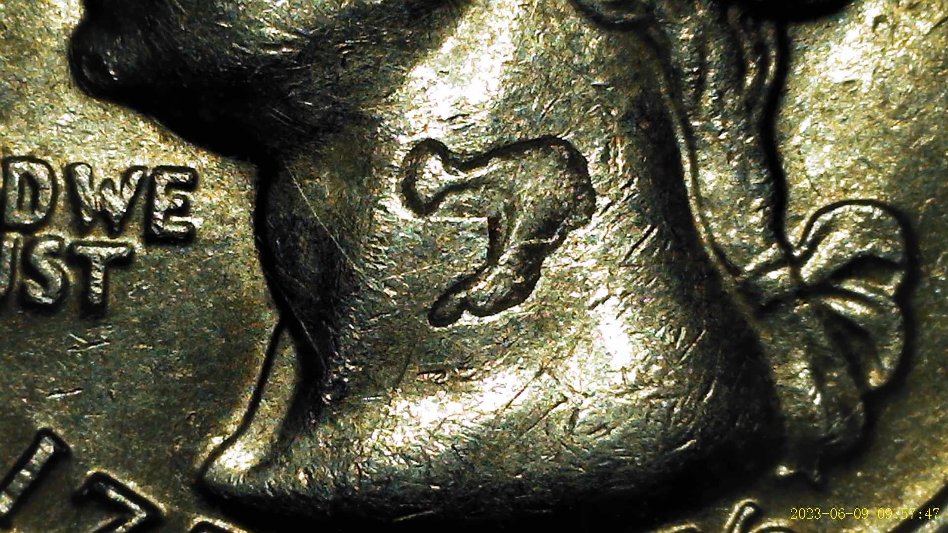 1976-Bicentennial-Quarter-Obverse-Unusual-Neck-Appearance