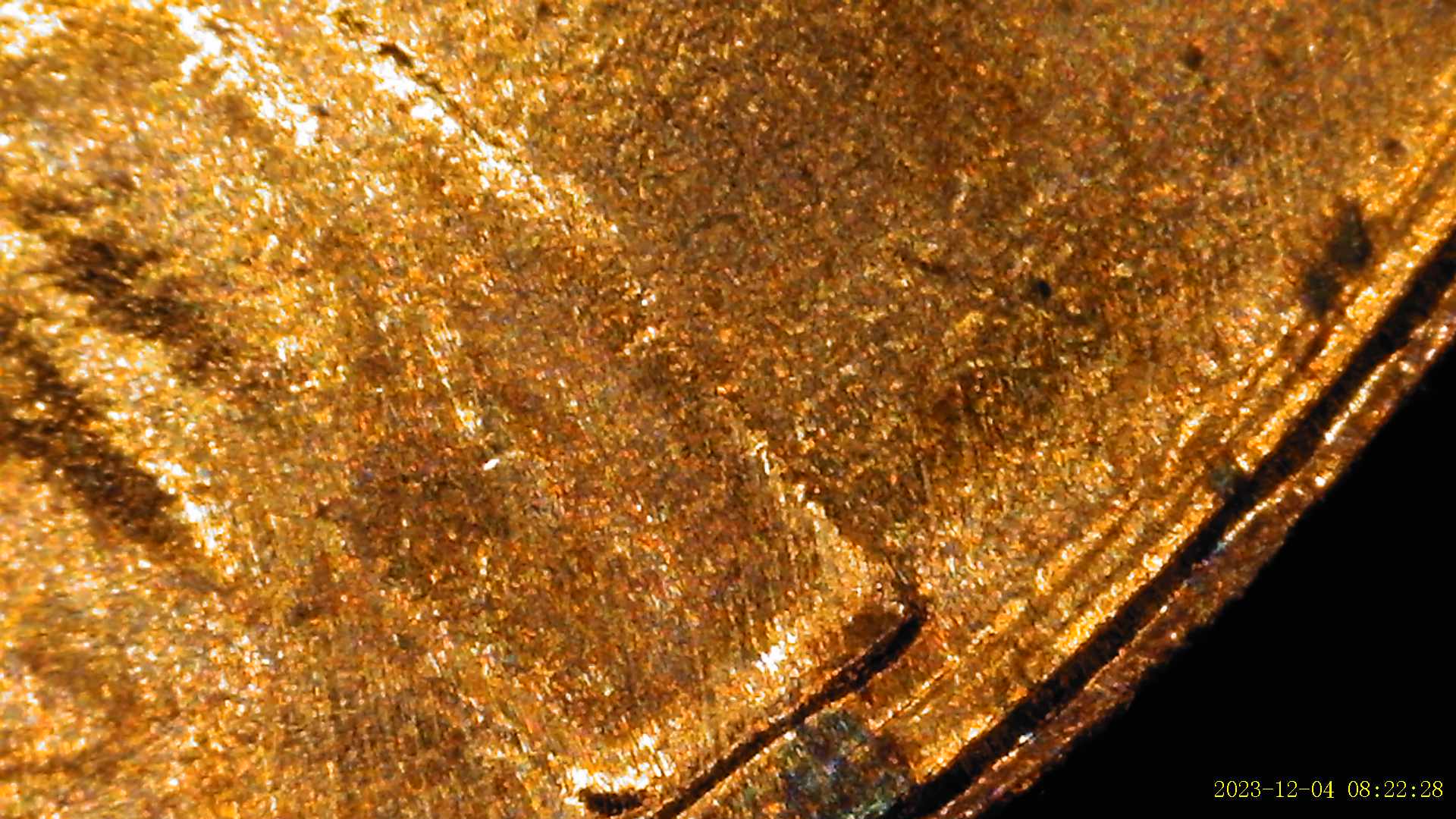 2019-Shield-Penny-Possible-DDO-Indications