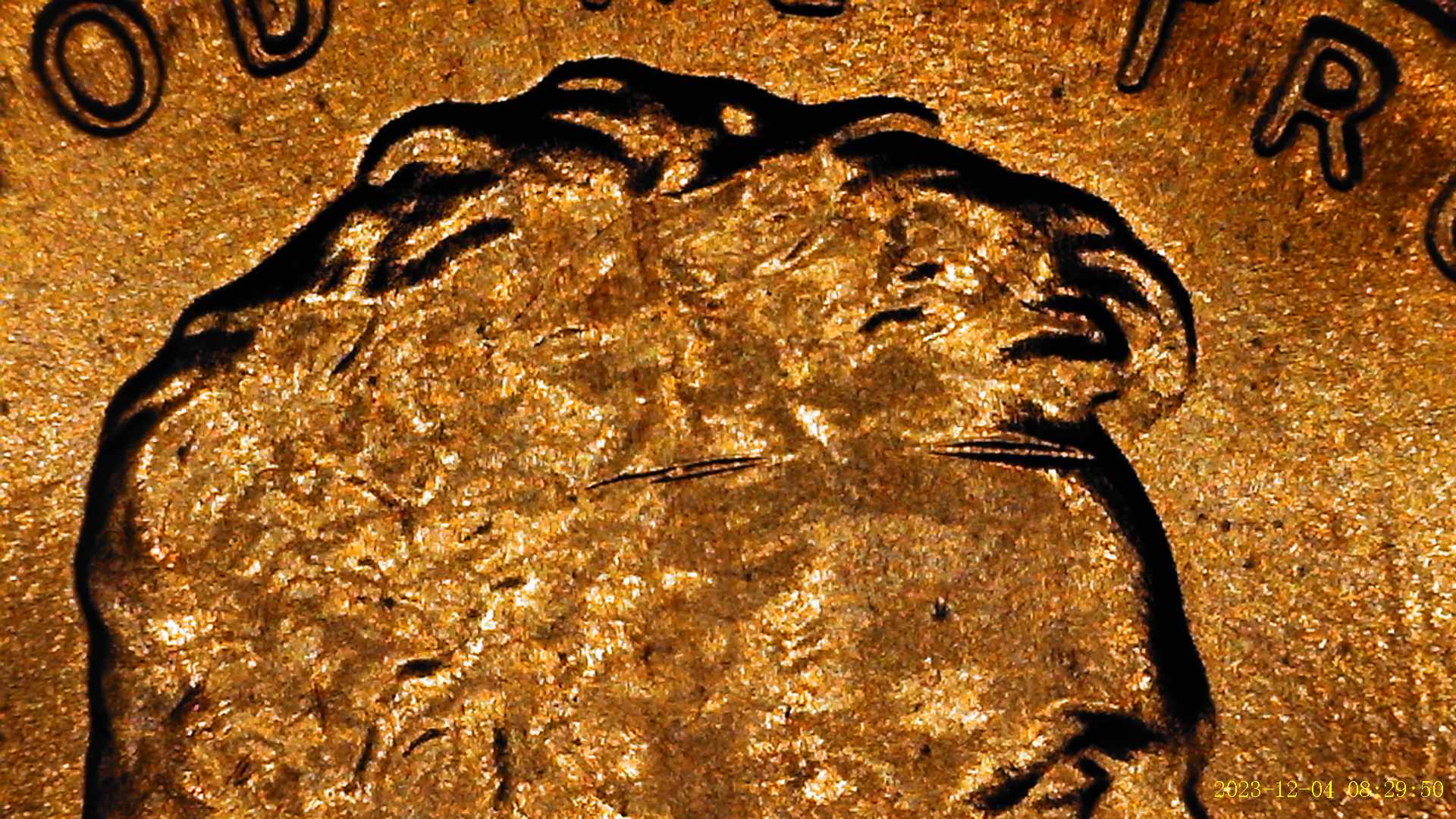 2019-Shield-Penny-Possible-DDO-Indications