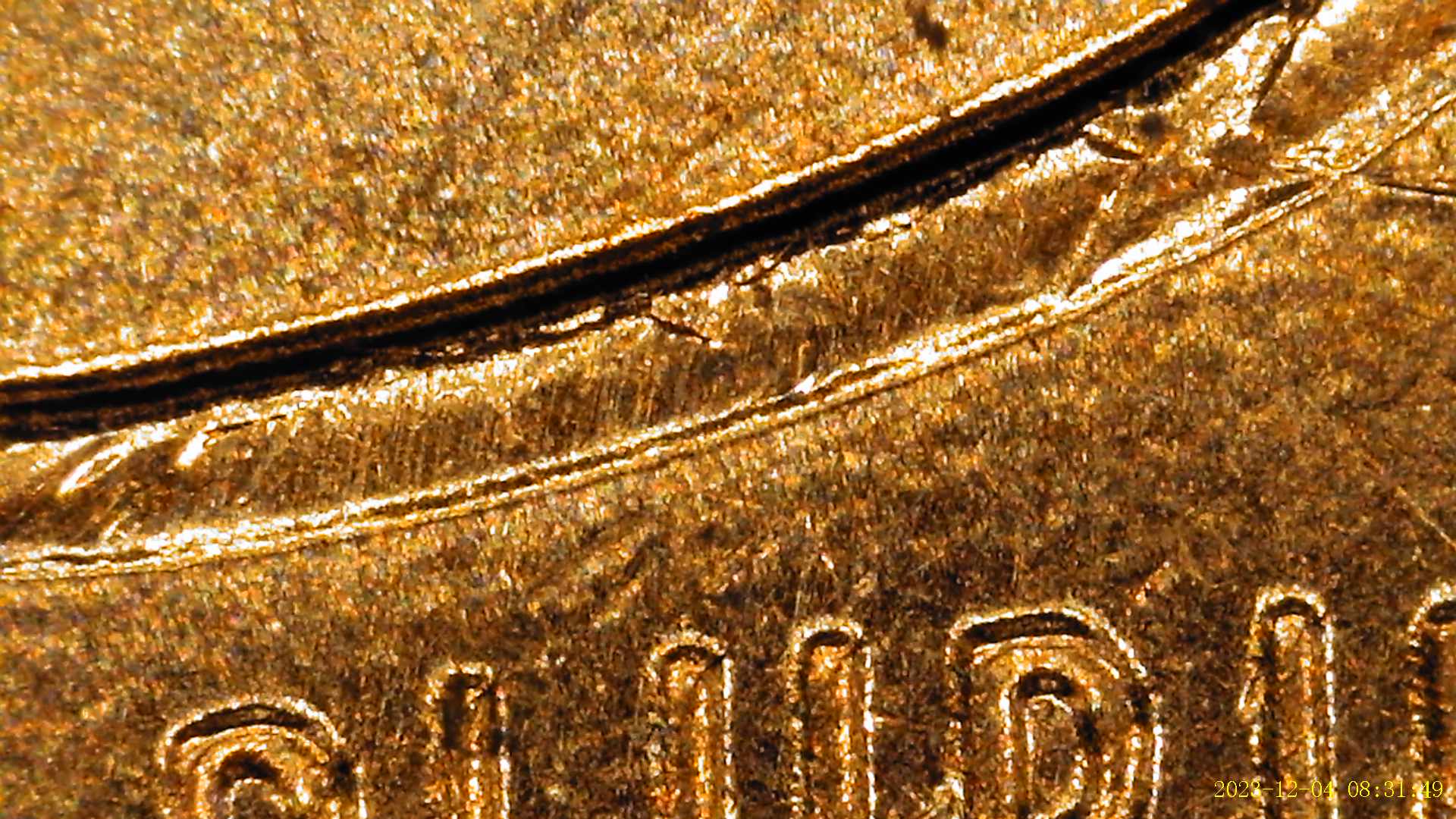 2019-Shield-Penny-Possible-DDO-Indications