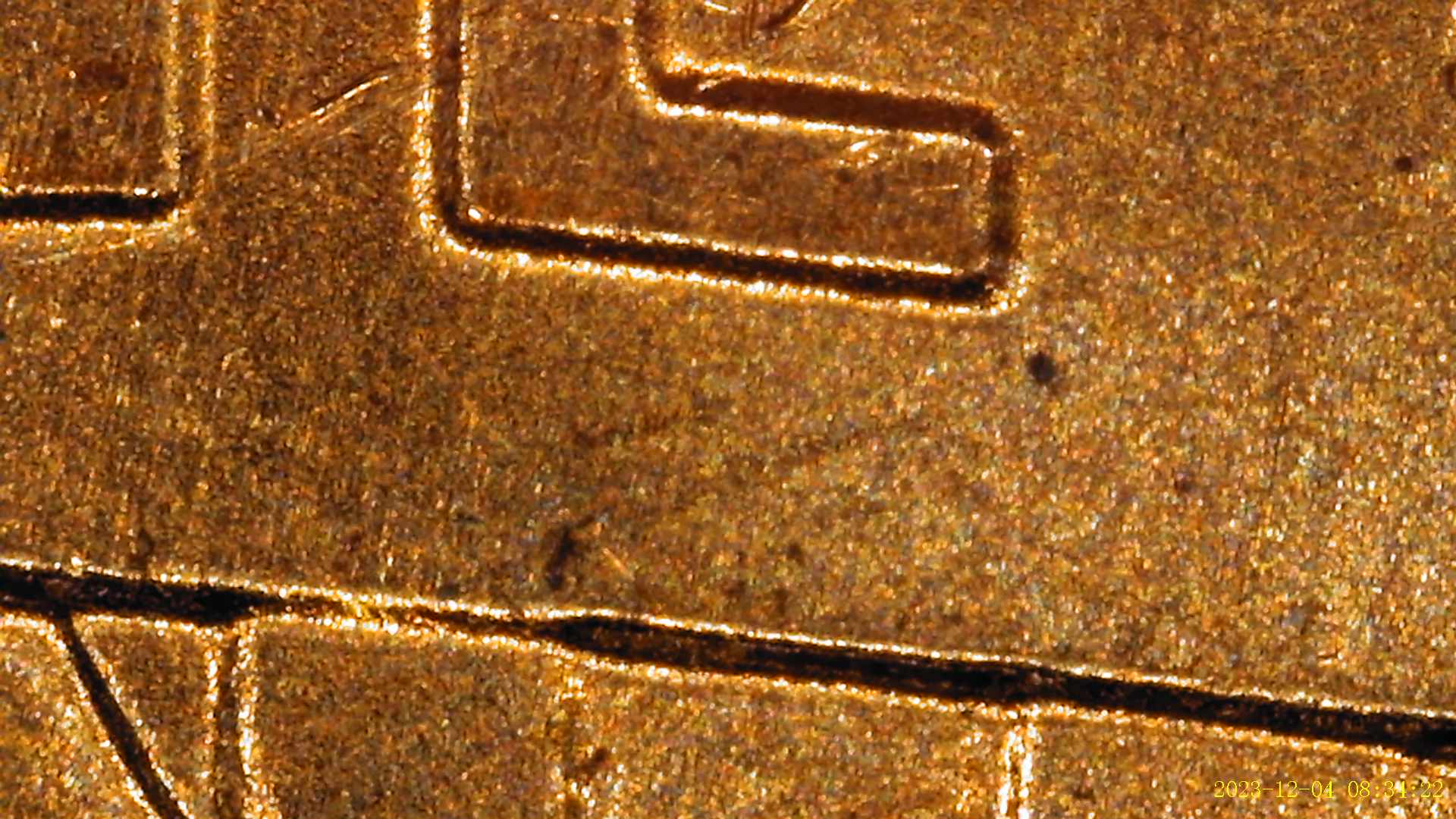 2019-Shield-Penny-Possible-DDO-Indications