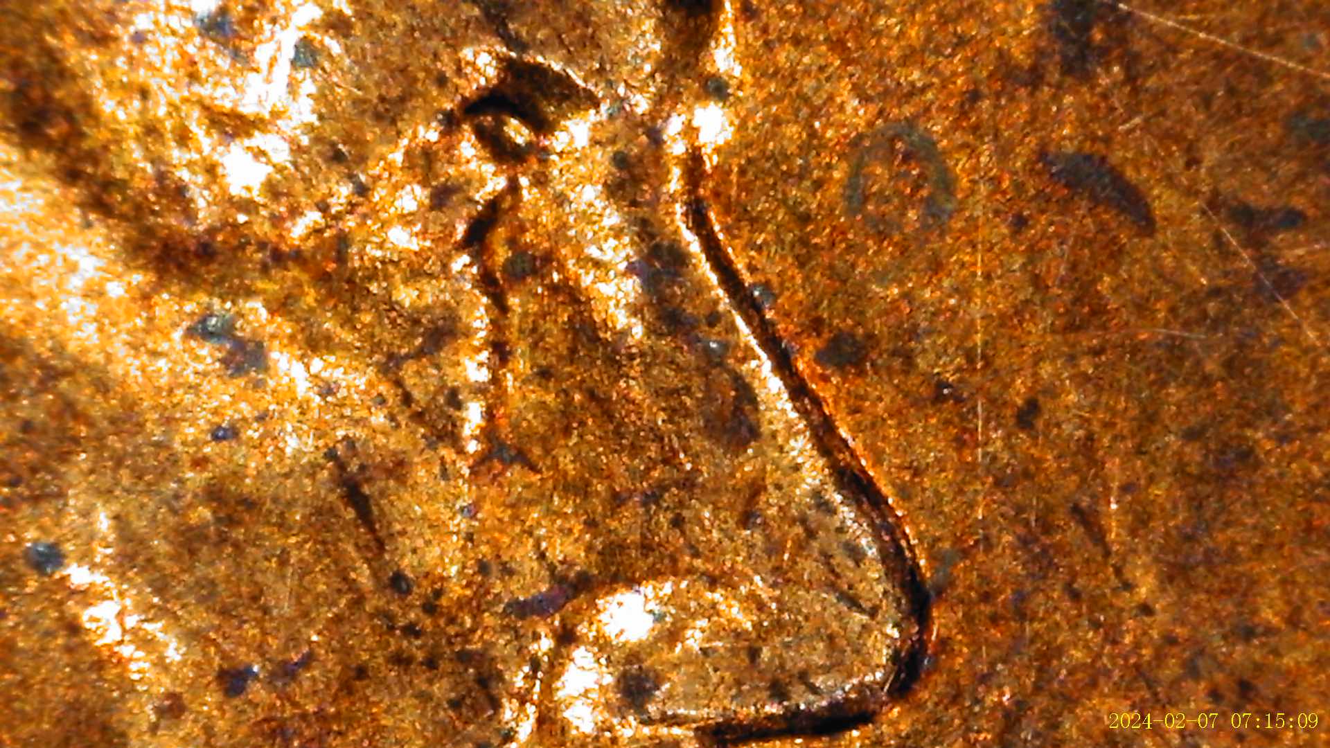 2018-Lincoln-Shield-Penny-With-Best-Chance-At-DDO
