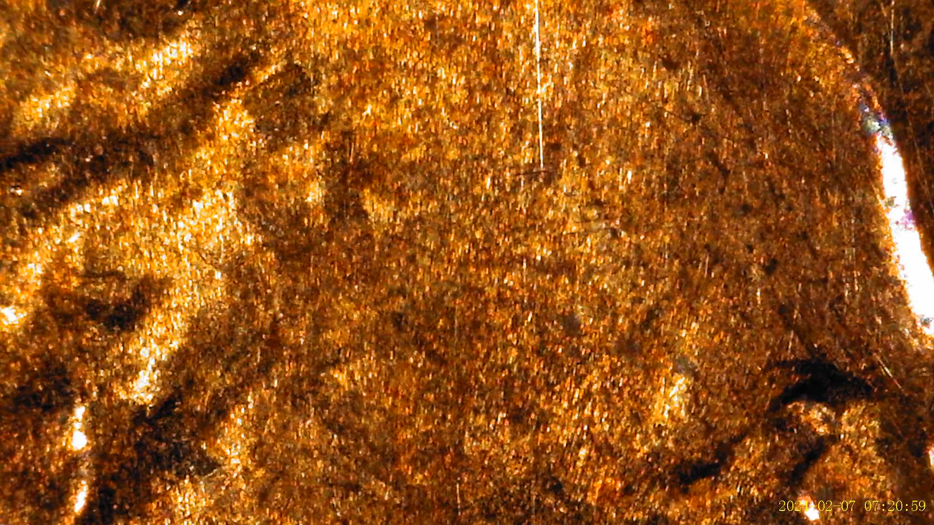 2018-Lincoln-Shield-Penny-With-Best-Chance-At-DDO