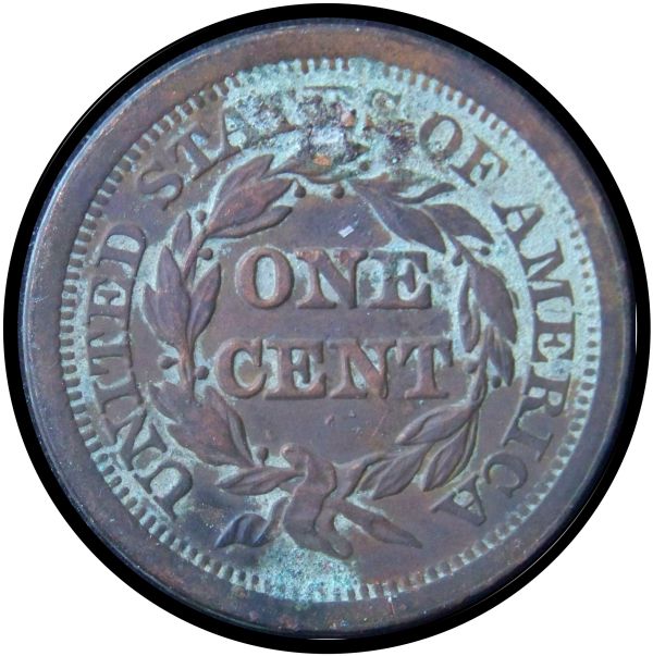 Would-Verdicare-Help-This-Poor-Large-Cent?