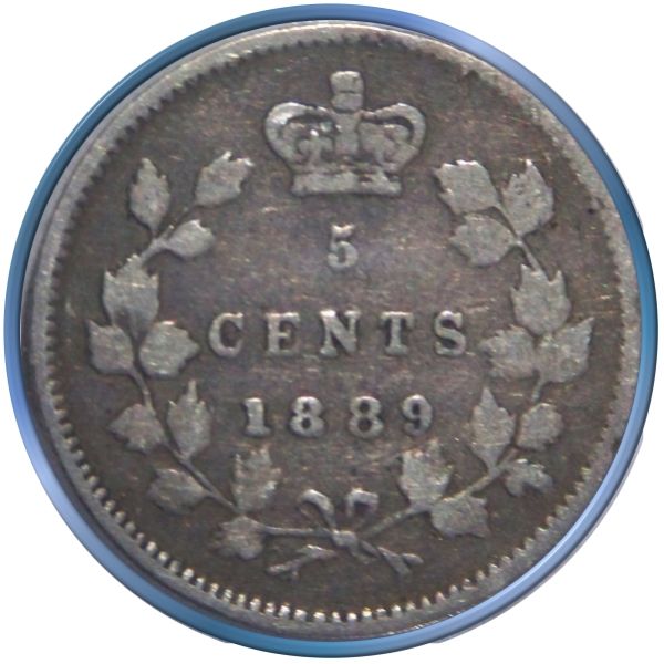 Your-12-Favorite-19th-Century-Coins!