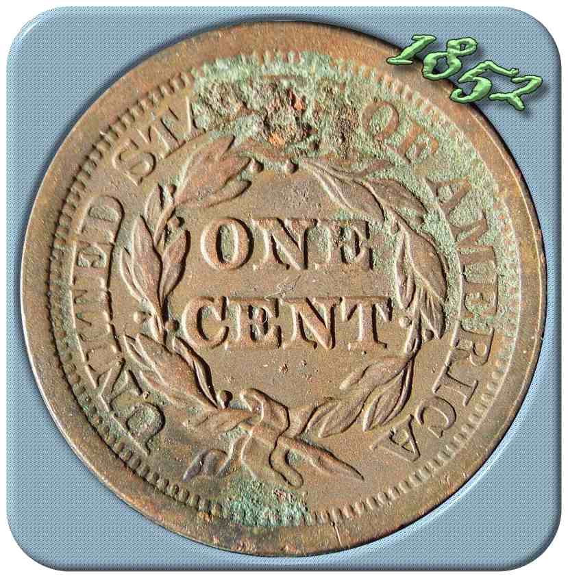 Would-Verdicare-Help-This-Poor-Large-Cent?