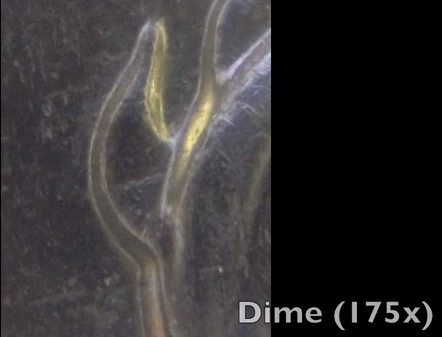 Dirt-Cheap-Coin-Microscope-Build---Amazing-Results---Video