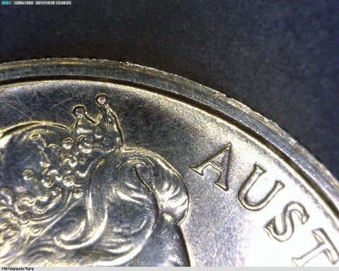 1981-5-Cent----How-To-Identify-Which-Mint-They-Came-From?