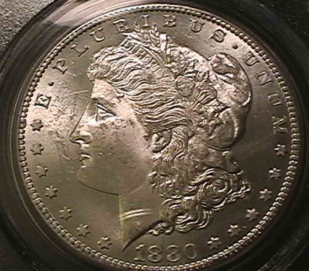 You-Vs-PCGS-|-1880-S-Morgan-Dollar