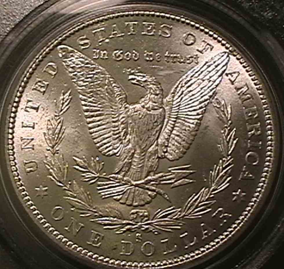 You-Vs-PCGS-|-1880-S-Morgan-Dollar
