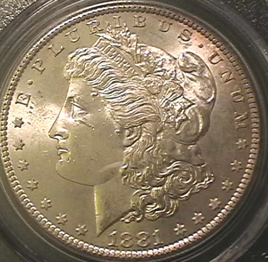 You-Vs-PCGS-|-1881-S-Morgan-Dollar