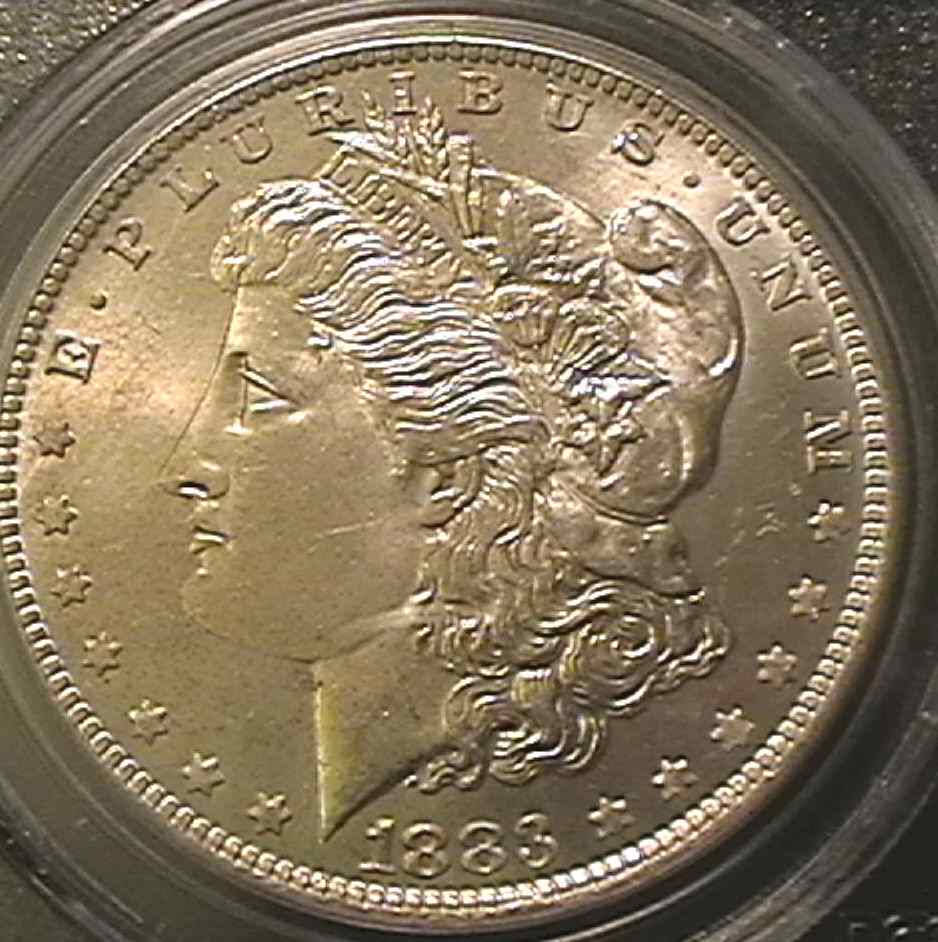 You-Vs-PCGS-|-1883-O-Morgan-Dollar
