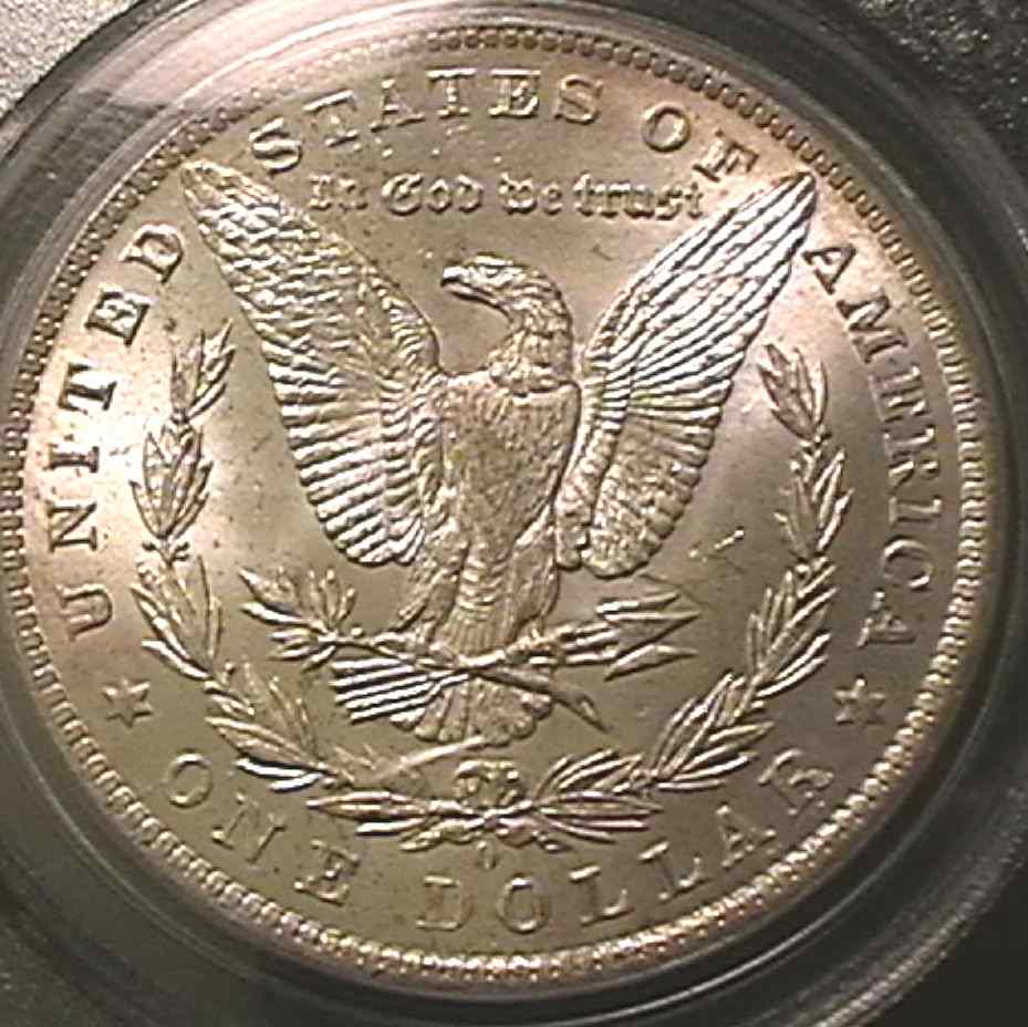 You-Vs-PCGS-|-1884-O-Morgan-Dollar