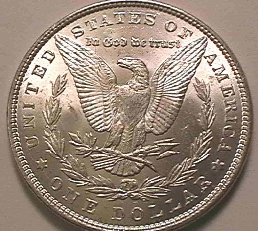 1884-Morgan
