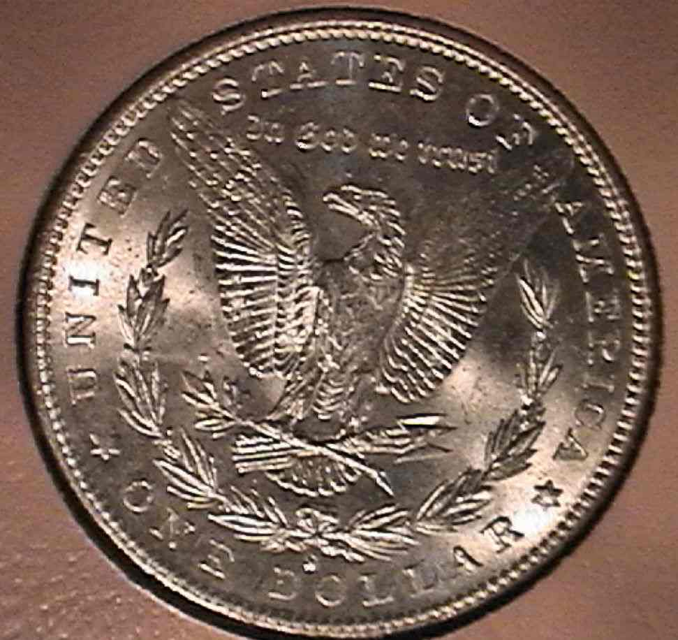 28-Days-Of-Morgans