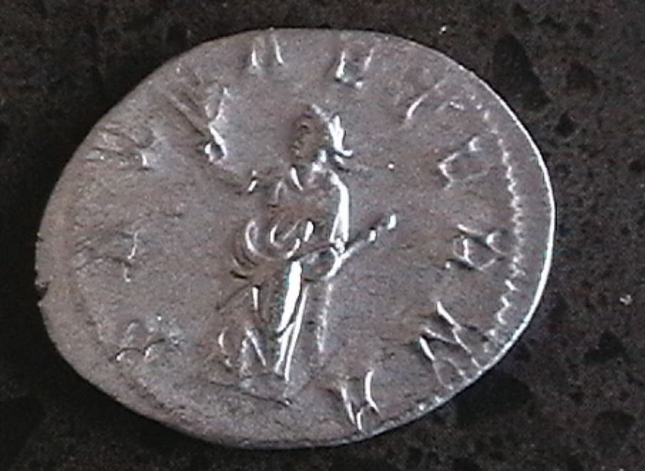Visit-To-A-Coin-Shop-Pictures-Added